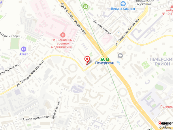 возле метро Печерская
